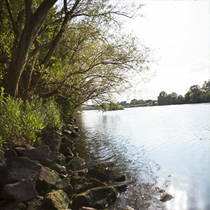 Seligenstadt Klein-Welzheim Aussicht auf den Main