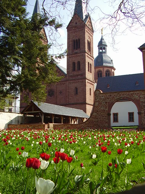 Tulpen im Klosterhof Seligenstadt