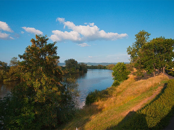 Steinheimer Straße 72 Seligenstadt Aussicht auf den Main